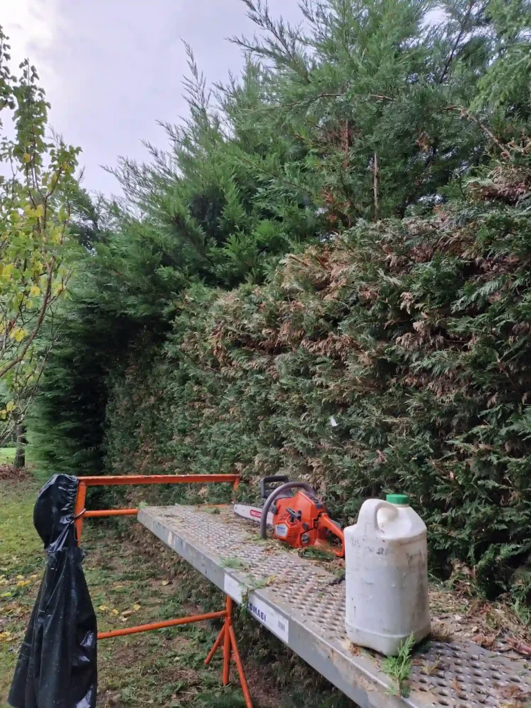entretien jardin à niort 79