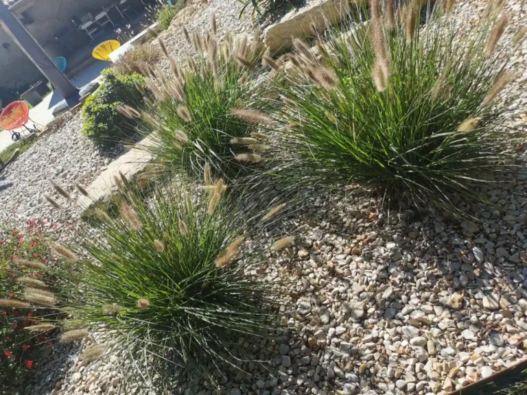 éclairage extérieur à niort