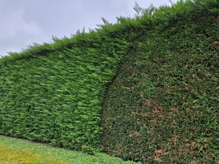 aménagement paysager à niort