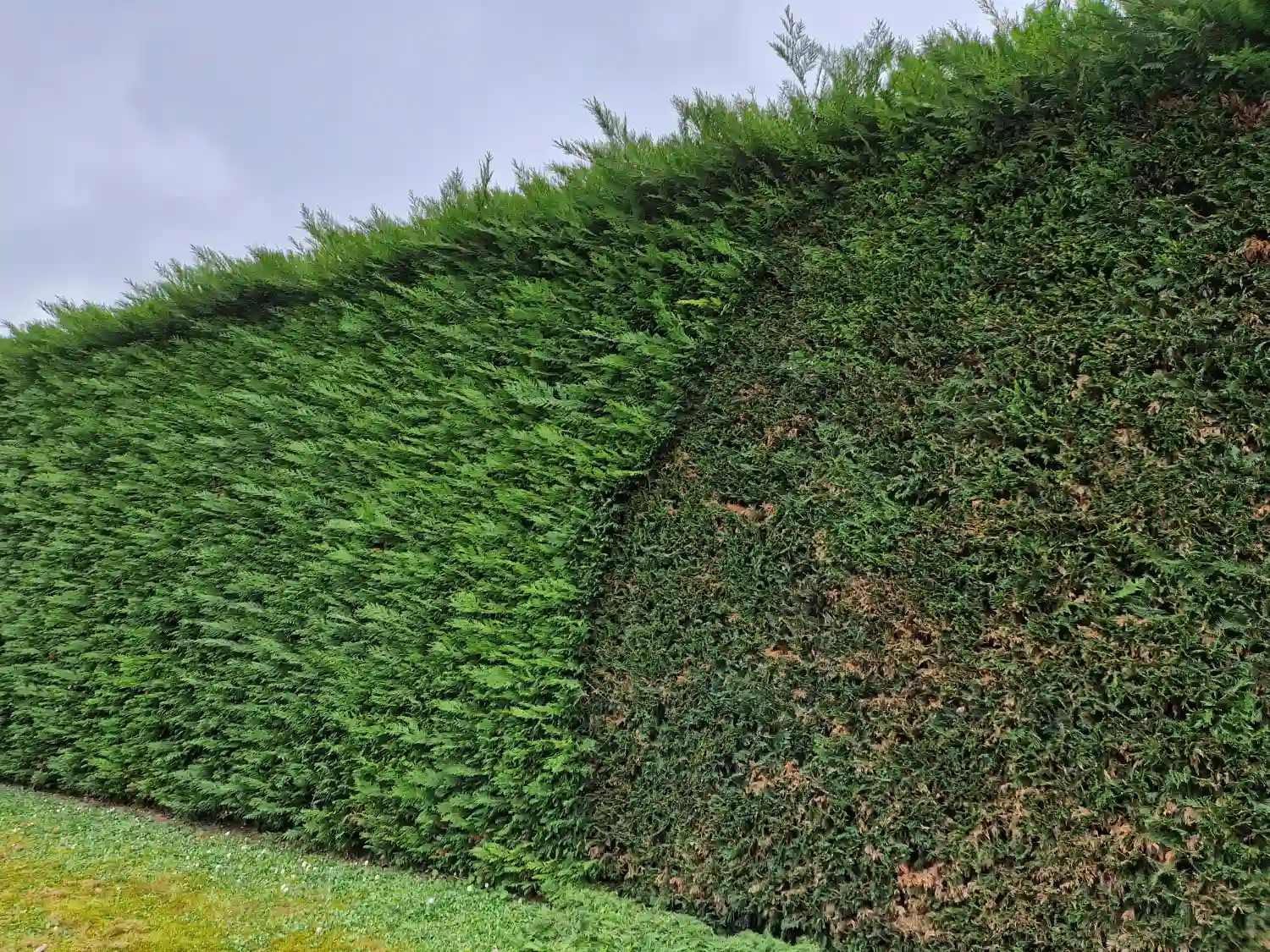 aménagement paysager à niort